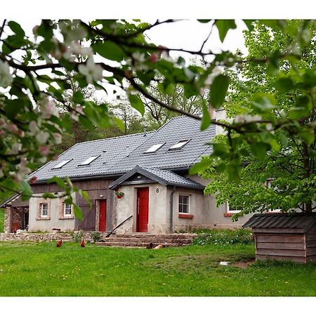 Kozy I Roze Villa Oldrzychowice Klodzkie Eksteriør bilde