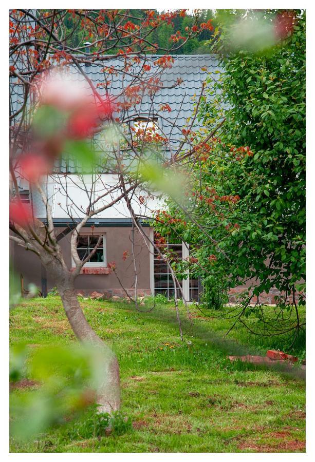 Kozy I Roze Villa Oldrzychowice Klodzkie Eksteriør bilde