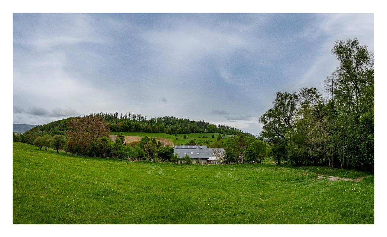 Kozy I Roze Villa Oldrzychowice Klodzkie Eksteriør bilde