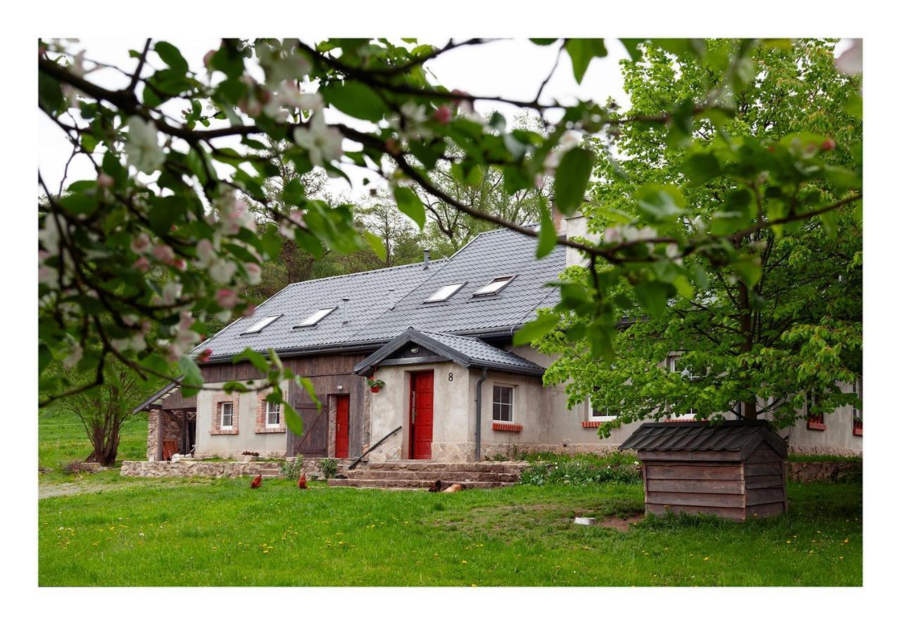 Kozy I Roze Villa Oldrzychowice Klodzkie Eksteriør bilde